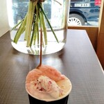 ジェラテリア アクオリーナ - 