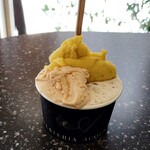 ジェラテリア アクオリーナ - 