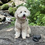 あみだが滝荘 流しそうめん - 