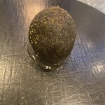 メゾン フジヤ ハコダテ - 