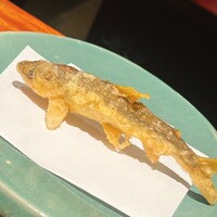 江戸前晋作 - 飯田市の天竜川で獲れた若鮎。稚鮎よりこのサイズが好き
