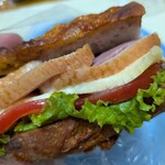 ドゥ・ソレイユ - 鴨ロース、トマト、チーズ、レタスの融合。ソースにもこだわり。