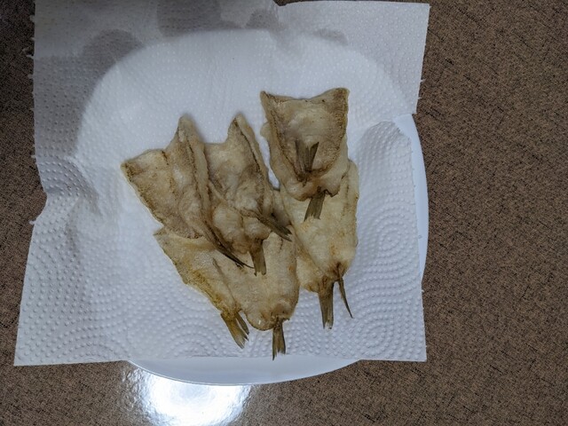 酒楽茶房 しん海 - 鶴岡（居酒屋）の写真