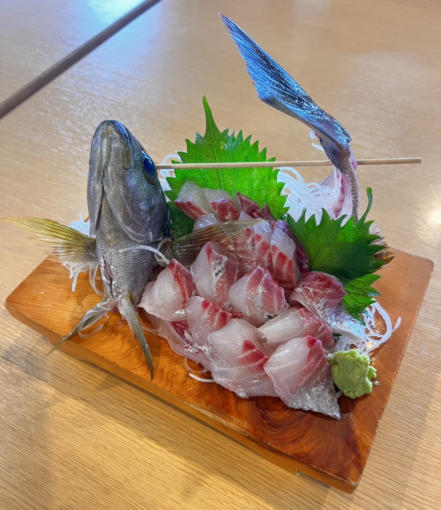 【ショウ】 リップルエフェクト 写真 : RIPPLE EFFECT 1173 （リップル エフェクト） - 志摩市