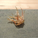 天麩羅 たか乃 - 車えびの頭