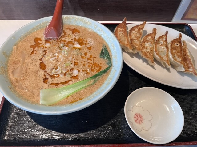 Tezukuri Tetsunabe Gyoza Soryu