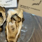 Oysterbar&Wine BELON - 