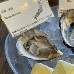 Oysterbar&Wine BELON - 