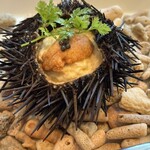 Oysterbar&Wine BELON - 