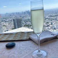天空の庭　星のなる木 - 