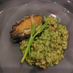 イタリアンレストラン Zucca - 鮑の温製とジェノベーゼのリゾット