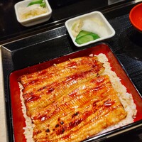 うなぎ 目白ぞろ芽 - 