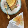 チョコレートショップ 本店