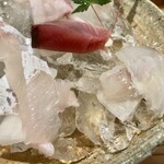 しんのすけ - 真こち、真子かれい