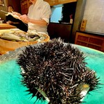 新日本料理おぶね - 