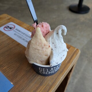 ジェラテリア クレメリーチェ_0