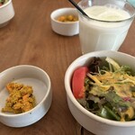 スーリヤサジロ - 