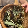 日本料理 丸しま - 活鮎の笹焼き