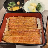 割烹 蒲焼 大沼 - うな重上