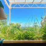 Cafe&Restaurant Nagisa - 