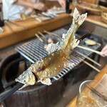 囲炉裏のあじわい ごとく - 