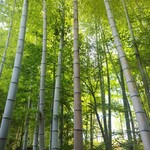 うなぎ尽徳 - お席から