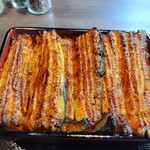 うなぎ尽徳 - 鰻重　特上　１・５匹