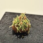 カンテサンス - 