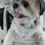 patisserie Sadaharu AOKI paris Atorie Karuizawa Ten