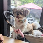 patisserie Sadaharu AOKI paris Atorie Karuizawa Ten