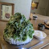 おとぎの蔵 豆の樹