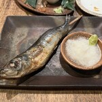 居酒屋 ちょーちょ - 