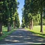 トラピスト修道院製酪工場売店 - 直前の直線道路