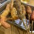 酒場スタンド ニューツルマツ - 料理写真:串かつ
          大海老 290円・牛 190円・赤ウインナー  120円