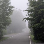 ベーカリー&レストラン 沢村 - 