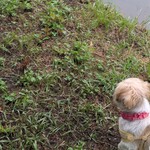 ベーカリー&レストラン 沢村 - 