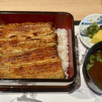東京竹葉亭 南御堂店 - 鰻重