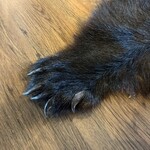 レストラン ウオゼン - 