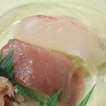 近畿大学水産研究所 - マグロとカンパチのお寿司