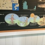 ニッカウヰスキー 余市蒸溜所 - 【2014年09月】竹鶴政孝が自信をもって余市を選んでいる。