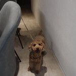 横浜茶寮 青寂 - 