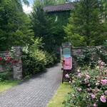 ELEVENSES TEA ROOMS - 