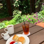 ELEVENSES TEA ROOMS - 