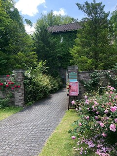 イレブンシス ティールームス - 