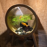 お料理 とみやま - 