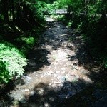 リビスコ - 矢ケ崎