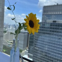リストランテ･ヒロ チェントロ 丸ビル店 - 