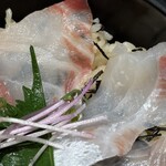 近畿大学水産研究所 はなれ - 