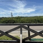 農園カフェ yamaki - 