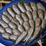 湖国料理　やまじん - 